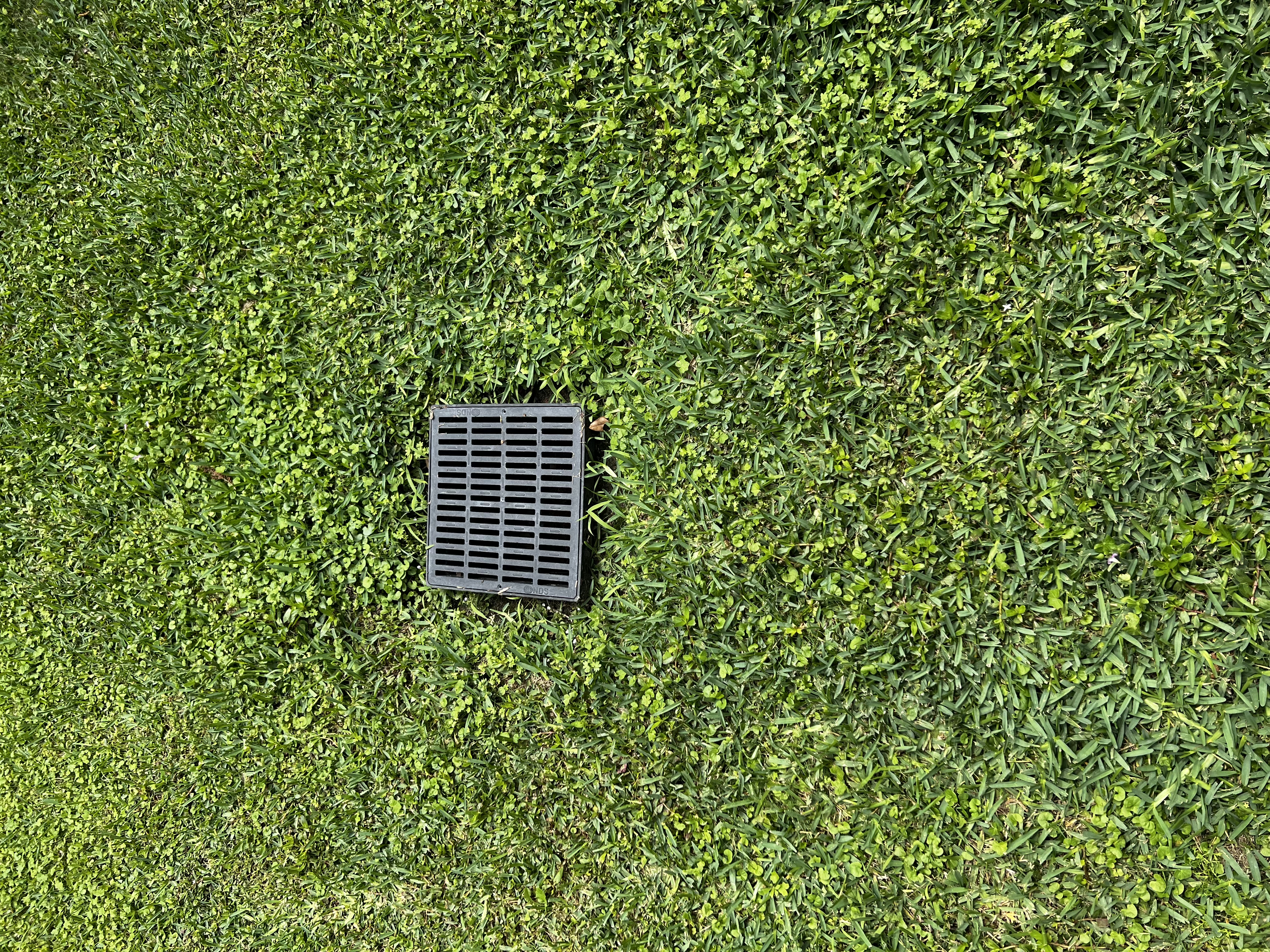 Catch basin installed in Houston yard with flush grate surrounded by healthy green grass