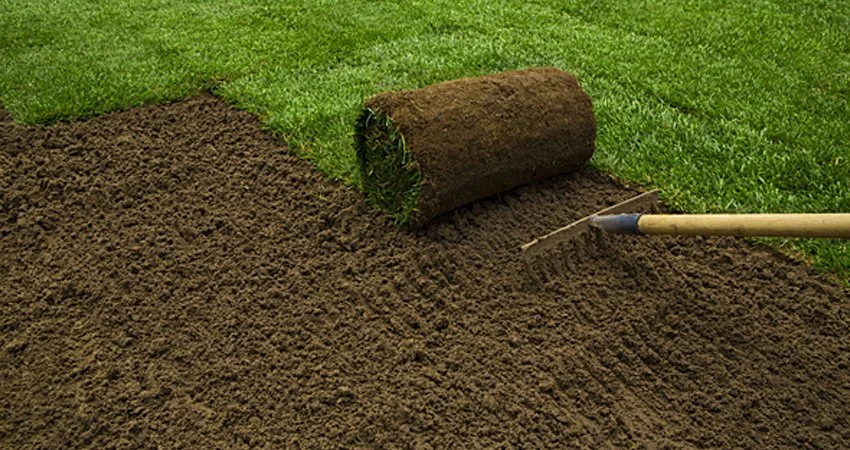 Professional sod repair and lawn patching service in Houston TX